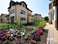 "���������" �������� ��� � ����������