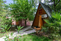 "���������" ���� ������ � ����������