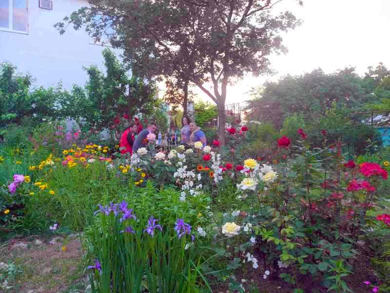 "Розовый сад" частное домовладение в Геленджике