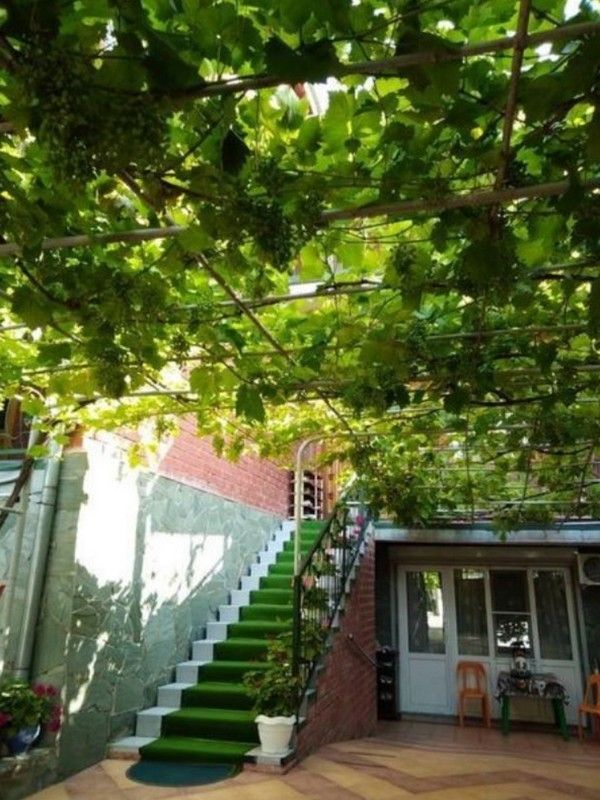 "Дом у Моря" гостевой дом в Геленджике "Дом у Моря" гостевой дом в Геленджике