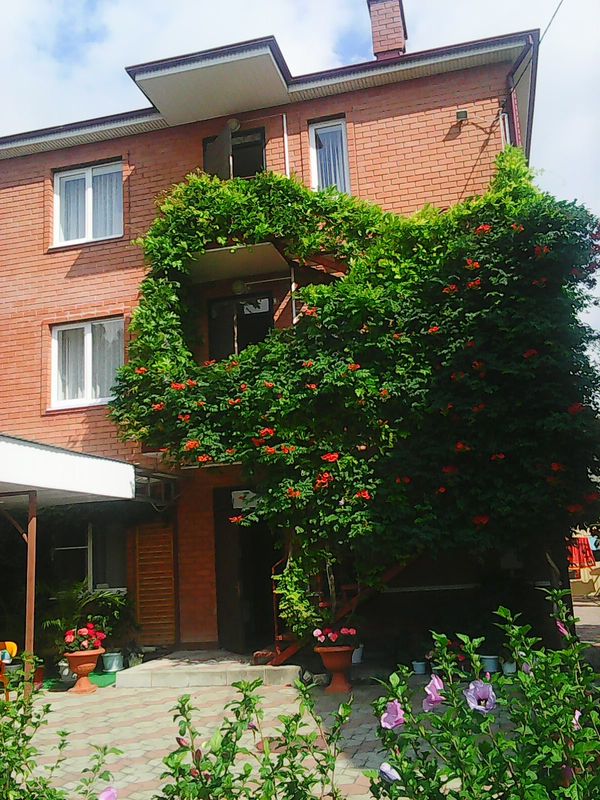 жилье в геленджике 2024 у моря